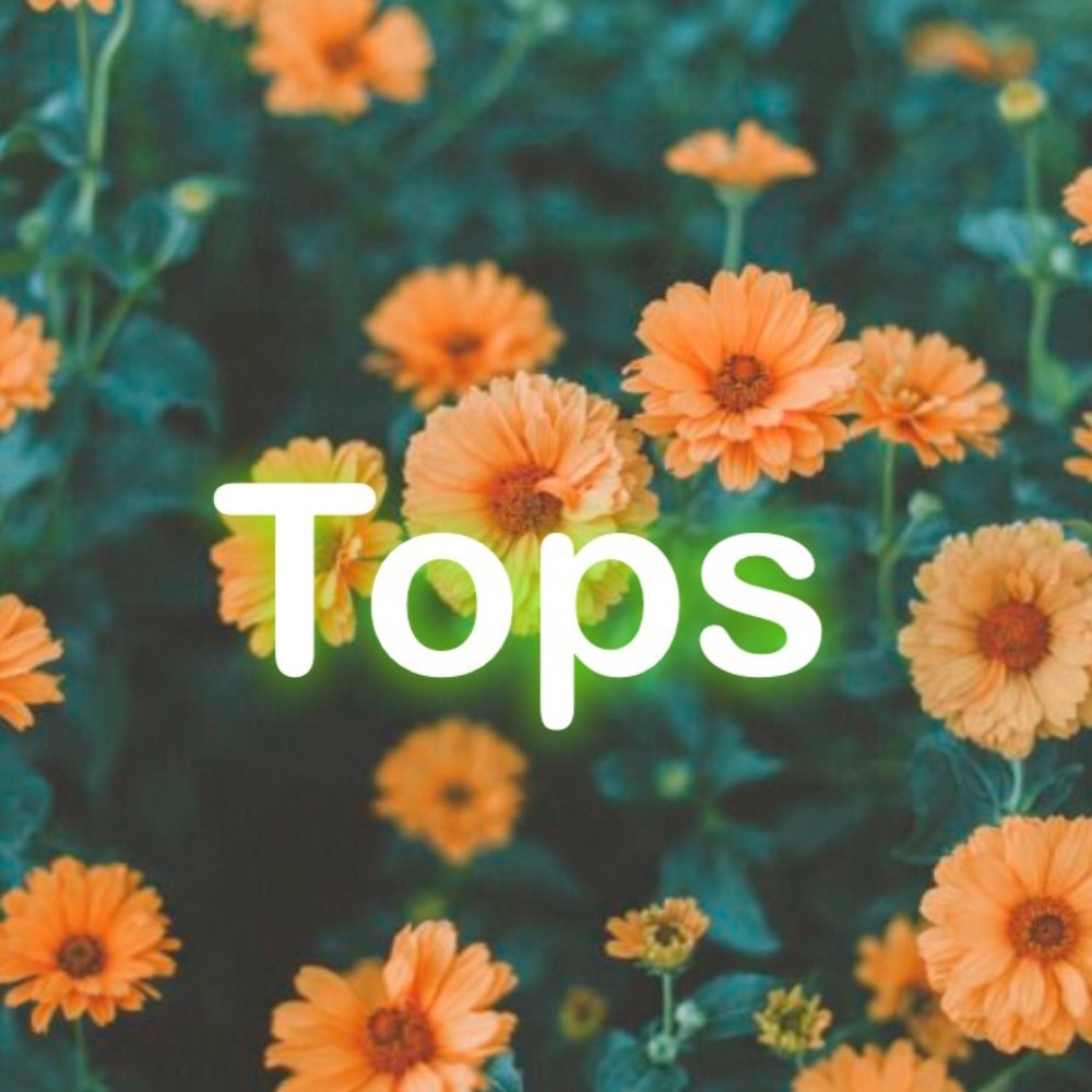 Tops section of my closet